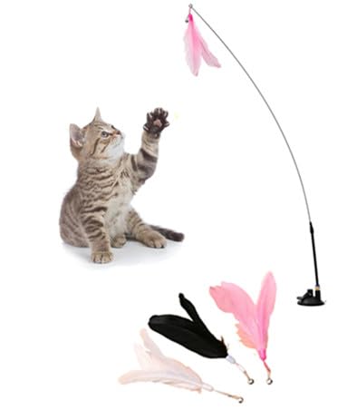 YongXiangPeng Lustige Katzenstäbchen, interaktives Spielzeug für Haustiere, Katzenspielzeug mit Feder und Glocke für lustiges Spielen, 1 x leistungsstarker Saugnapf, 1 x YongXiangPeng Lustige Katzenstäbchen, interaktives Spielzeug für Haustiere, Katzenspielzeug mit Feder und Glocke für lustiges Spielen, 1 x leistungsstarker Saugnapf, 1 x von YongXiangPeng