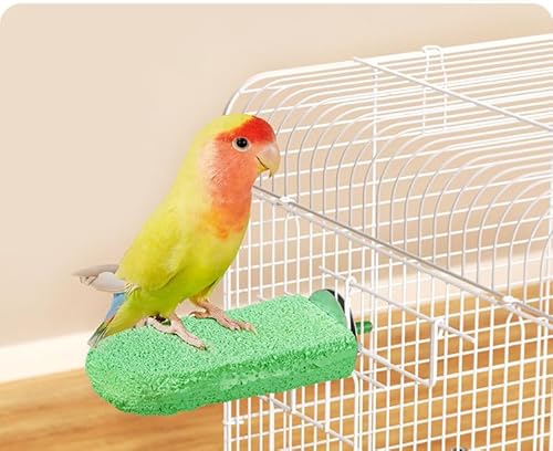 YongXiangPeng Papageien-Sitzstange, Vogelschleifzähne, Kauspielzeug für Papageienkäfig-Zubehör, gutes Papageienspielzeug für Käfigvögel (grün). von YongXiangPeng
