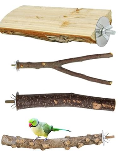 YongXiangPeng Vogelkäfig-Sitzstangen aus Naturholz, Papageienständer für Wellensittiche, Nymphensittiche, Kauspielzeug, Käfigzubehör für kleine Vögel, 4 Stück von YongXiangPeng