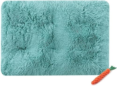 YongXinMY Hundebett-Matte, Katzenbett-Pad, weich, warm, selbstheizend, Plüschdecke für Welpen, Kätzchen, waschbar, wendbar, für drinnen und draußen, Kofferraum (XL, 95 x 65 cm, Türkisgrün) von YongXinMY