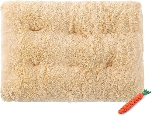 YongXinMY Hundebett-Matte, Katzenbett-Pad, weich, warm, selbstheizend, Plüschdecke für Welpen, Kätzchen, waschbar, wendbar, für drinnen und draußen, Kofferraum (XXL, 110 x 75 cm, Beige) von YongXinMY