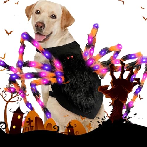 Yongmcxhhj Halloween Haustier Verkleidung Leuchtende Spinne Anzug Atmungsaktiv Und Bewegungsfreiheit Für Kleine Große Hunde Sowie Katzen Festivals Schmückende Events Unterhaltungsaktivitäten von Yongmcxhhj