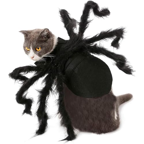 Yongmcxhhj Halloween Spinne Hundekostüm Spinnenkostüm Katze Halloween Party Cosplay Realistisches S-pinnen Aussehen Einstellbar Plüsch Für Kleine Mittelgroße Hunde Und Katzen von Yongmcxhhj