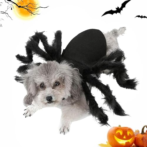 Yongmcxhhj Halloween Spinne Hundekostüm Spinnenkostüm Katze Halloween Party Cosplay Realistisches S-pinnen Aussehen Einstellbar Plüsch Für Kleine Mittelgroße Hunde Und Katzen Yongmcxhhj Halloween Spinne Hundekostüm Spinnenkostüm Katze Halloween Party Cosplay Realistisches S-pinnen Aussehen Einstellbar Plüsch Für Kleine Mittelgroße Hunde Und Katzen von Yongmcxhhj