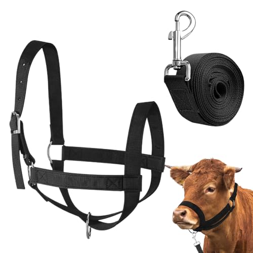 Yongmcxhhj Halter - Führungs Halter und Führstrick | Show Vieh Strapazierfähiges Nylon Verstellbar für Ranch Bauernhof Grünland Ziege Fohlen Lamm von Yongmcxhhj