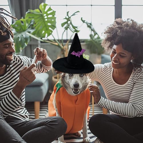 Yongmcxhhj Hundehut,Hexenhut Halloween | Verstellbares Kostümzubehör Für Bühne Show Fest Feier Familienfest Maskerade Theater Cosplay Party Yongmcxhhj Hundehut,Hexenhut Halloween | Verstellbares Kostümzubehör Für Bühne Show Fest Feier Familienfest Maskerade Theater Cosplay Party von Yongmcxhhj