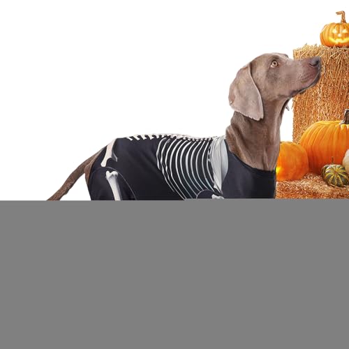 Yongmcxhhj Hundekostüme - Skelett Kostüm Für Hunde,Haustier Halloween Bodysuit Für Feste Fotos Feiertage Cosplay von Yongmcxhhj