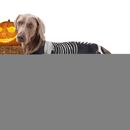 Yongmcxhhj Kleines Hundekostüm | Hund Skelett Sweatshirt,Welpen Body Haustier Halloween Kleidung für Verschiedene Anlässe wie Cosplay, Urlaub, Reisen, täglichen Einsatz, Outdoor, Zuhause, Feiern und von Yongmcxhhj