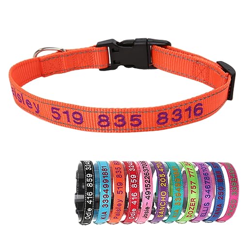 Reflektierend Nylon Hundehalsband Personalisiert mit Individuell Gesticktem Namen und Telefon für Große Mittlere Kleine Hunde Welpe von Yonsbox