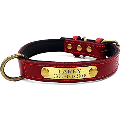 Weich Gepolstertes Hundehalsbänder und Leine Personalisierte Leder mit Namen und Telefonnummer Rot Welpen Halsband für Kleine Mittlere Große Hunde M 1,8 cm Breit Verstellbar 29-38 cm Weich Gepolstertes Hundehalsbänder und Leine Personalisierte Leder mit Namen und Telefonnummer Rot Welpen Halsband für Kleine Mittlere Große Hunde M 1,8 cm Breit Verstellbar 29-38 cm von Yonsbox