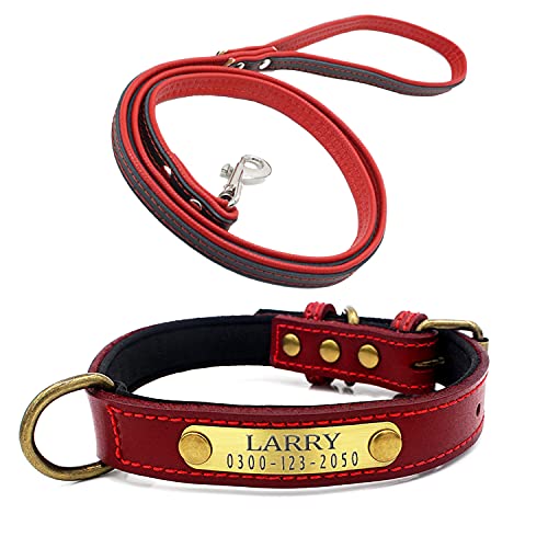 Weich Gepolstertes Hundehalsbänder und Leine Personalisierte Leder mit Namen und Telefonnummer Rot Welpen Halsband für Kleine Mittlere Große Hunde XL 3 cm Breit Verstellbar 46-56 cm von Yonsbox