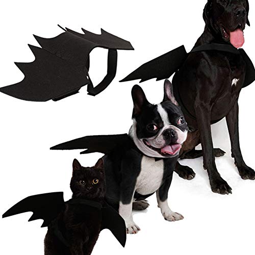 Halloween-Kostüm für Hunde, Fledermausflügel, Fledermaus, verstellbar, für kleine, mittelgroße und große Hunde von Yontree
