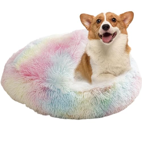 Beruhigendes Bett Für Katzen Und Kleine Hunde, Katzenbett Waschbar Haustierbett, Donut Flauschig Rund Cat Bed, Katzenbett Flauschig Katzendecke Haustierbett Für Kleine Hunde,M/L Beruhigendes Bett Für Katzen Und Kleine Hunde, Katzenbett Waschbar Haustierbett, Donut Flauschig Rund Cat Bed, Katzenbett Flauschig Katzendecke Haustierbett Für Kleine Hunde,M/L von Yonuaret