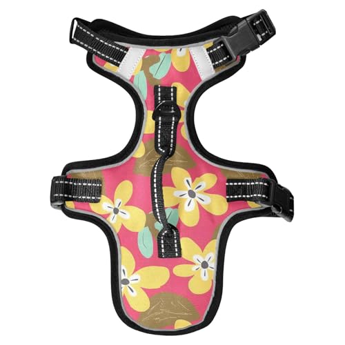 Chaleco para perro Hundegeschirr, reflektierend, personalisierbar für Spaziergänge, niedliche Katzengeschirr, Größe M Chaleco para perro Hundegeschirr, reflektierend, personalisierbar für Spaziergänge, niedliche Katzengeschirr, Größe M von Yoogain