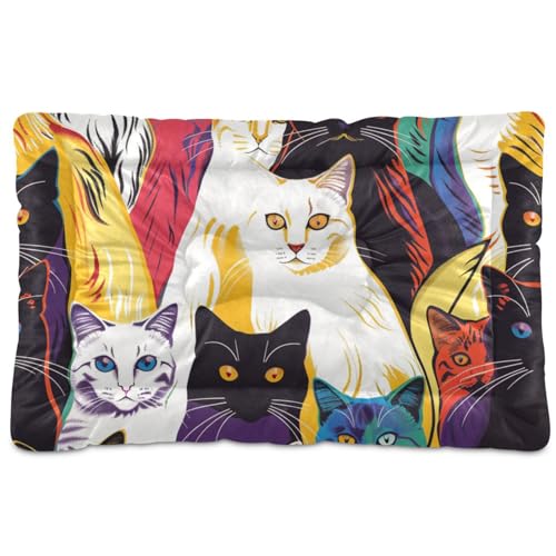 Colorful Line waschbares Hunde- und Katzenbett, rutschfest, weich, bequem, für große, mittelgroße und kleine Hunde, 91,4 x 61 cm von Yoogain