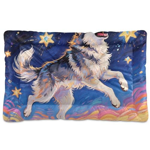 Dancing Sibirischer Husky Hund, Ölgemälde, waschbar, Schlafmatratze, weich, rutschfest, für große Jumbo, mittelgroße und kleine Hunde, 91,4 x 61 cm von Yoogain