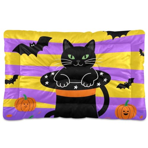 Halloween schwarze Katze und Kürbisse, waschbares Hunde- und Katzenbett, rutschfest, weich, bequem, Haustierhütte für große, mittelgroße und kleine Hunde, 91,4 x 61 cm von Yoogain
