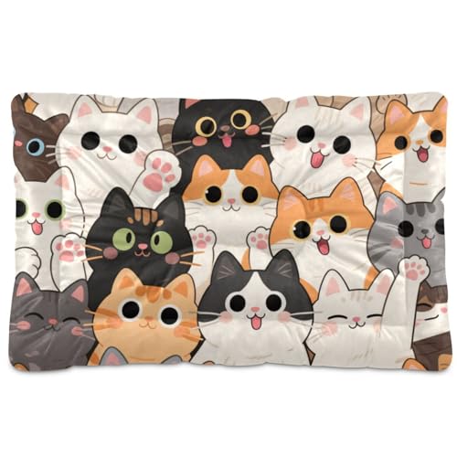 Haustier-Isomatte mit niedlichem Cartoon-Katzen-Motiv, waschbar, weich, rutschfest, für große, mittelgroße und kleine Hunde, 91,4 x 61 cm von Yoogain