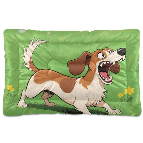 Haustier-Schlafmatte, waschbar, weich, rutschfest, für große, mittelgroße und kleine Hunde, 91,4 x 61 cm von Yoogain