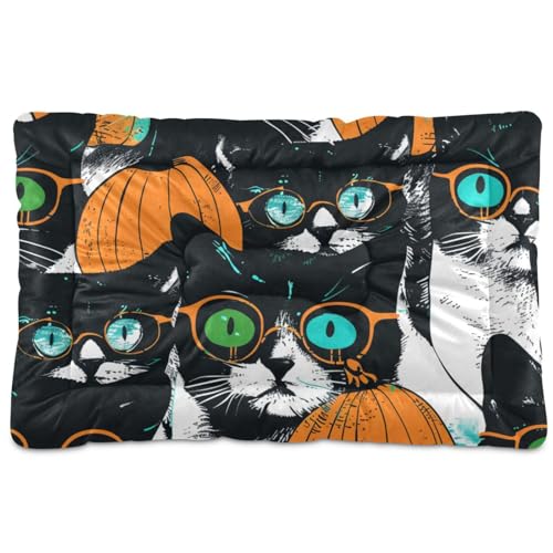 Haustier-Schlafmatte mit niedlicher Halloween-Brille, waschbar, rutschfest, weich, bequem, für mittelgroße und große Hunde, 91,4 x 61 cm von Yoogain