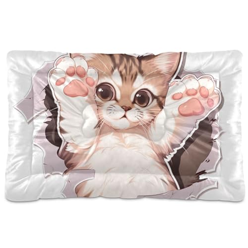 Haustierbett-Matte mit niedlichem Cartoon-Katzen-Motiv, waschbar, rutschfest, weich, bequem, für mittelgroße und große Hunde, 91,4 x 61 cm von Yoogain