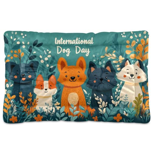 Haustierbett mit niedlichem Cartoon-Motiv, waschbar, weich, bequem, rutschfeste Unterseite, für große, mittelgroße und kleine Hunde, 91,4 x 61 cm von Yoogain