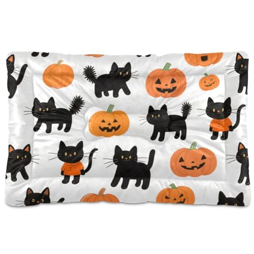 Haustiermatratze, Motiv: Halloween, Cartoon, schwarze Katzen, Kürbisse, waschbar, rutschfest, weich, bequem, für mittelgroße und große Hunde, 91,4 x 61 cm von Yoogain
