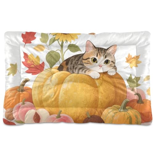 Hello Fall Herbst Katze Kürbis Sonnenblume waschbar Hund Katze Katze Katze Bett Weiche Anti-Rutsch-Haustiermatte für große, mittelgroße und kleine Hunde 91,4 x 61 cm von Yoogain