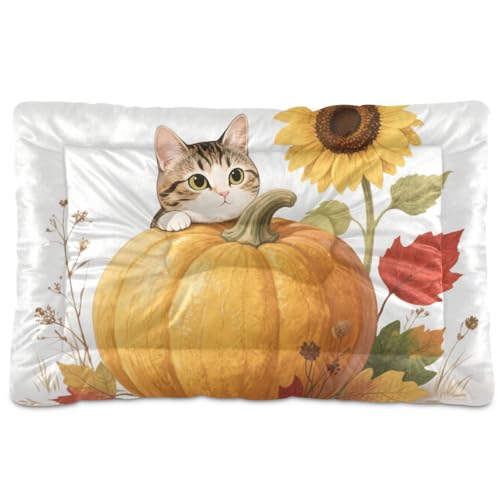 Hello Fall Herbst Katze Kürbis Sonnenblume waschbar Hund Katze Katzenbett weich bequem rutschfeste Unterseite Hundebox Pad für große Jumbo-Mittel/kleine Hunde 91,4 x 61 cm von Yoogain