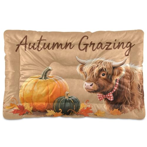 Herbst-Kürbis-Hochlandrinder-Haustiermatratze, waschbar, rutschfest, weich, bequem, für große Jumbo, mittelgroße und kleine Hunde, 91,4 x 61 cm von Yoogain