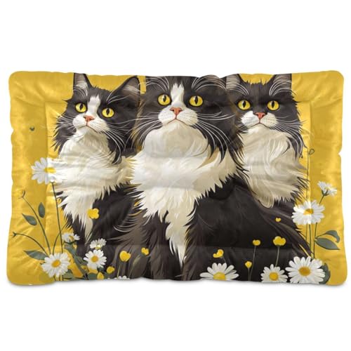 Hundebett, Motiv: süße norwegische Safari-Katzen, waschbar, weich, rutschfest, für große Jumbo, mittelgroße und kleine Hunde, 91,4 x 61 cm von Yoogain