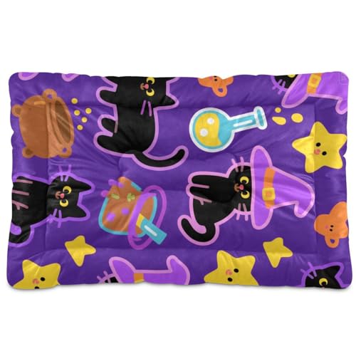Hundebett, waschbar, weich, rutschfest, für große, mittelgroße und kleine Hunde, 91,4 x 61 cm, Orange von Yoogain