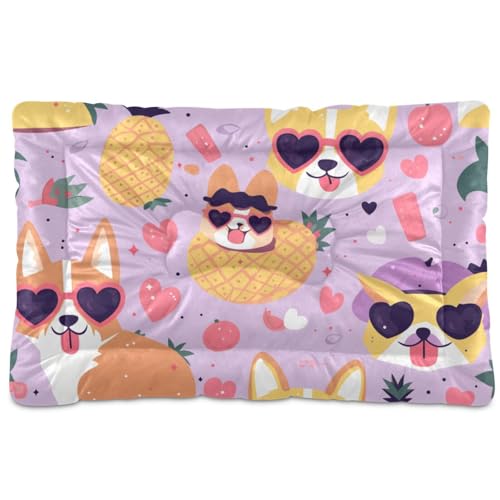 Hundebett, waschbar, weich, rutschfest, für große, mittelgroße und kleine Hunde, 91,4 x 61 cm von Yoogain