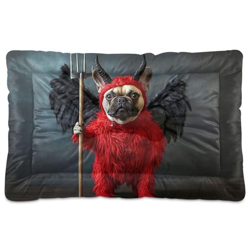 Hundebett, waschbar, weich, rutschfest, für mittelgroße und große Hunde, 91,4 x 61 cm von Yoogain