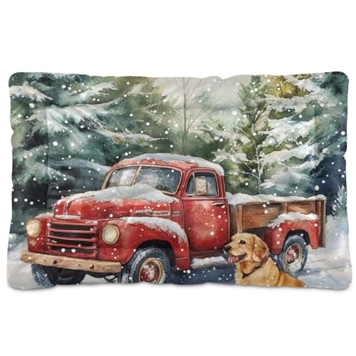 Hundebett-Matte für den Winter, Weihnachten, Schnee, waschbar, weich, rutschfest, für mittelgroße und große Hunde, 91,4 x 61 cm von Yoogain