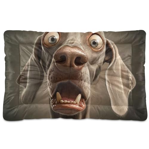 Hundematratze, Motiv: Weimaraner, waschbar, weich, bequem, rutschfeste Unterseite, für mittelgroße und große Hunde, 91,4 x 61 cm von Yoogain