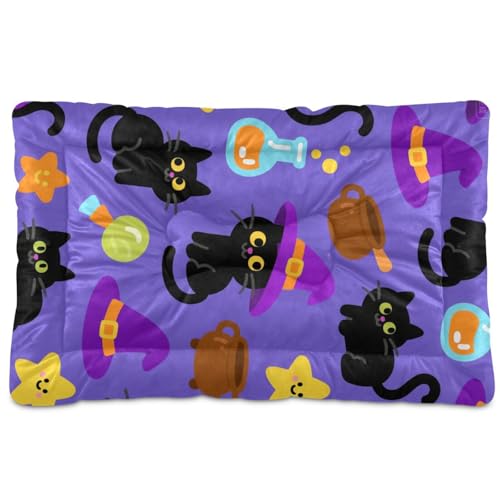 Hundematratze, Motiv: niedliche schwarze Katzen für Halloween, waschbar, weich, bequem, rutschfeste Unterseite, Hundekäfig-Matte für große, mittelgroße und kleine Hunde, 91,4 x 61 cm von Yoogain
