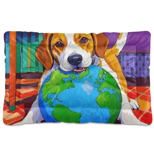 Waschbare Haustier-Schlafmatte mit Cartoon-Motiv, rutschfest, weich, bequem, für große, mittelgroße und kleine Hunde, 91,4 x 61 cm von Yoogain