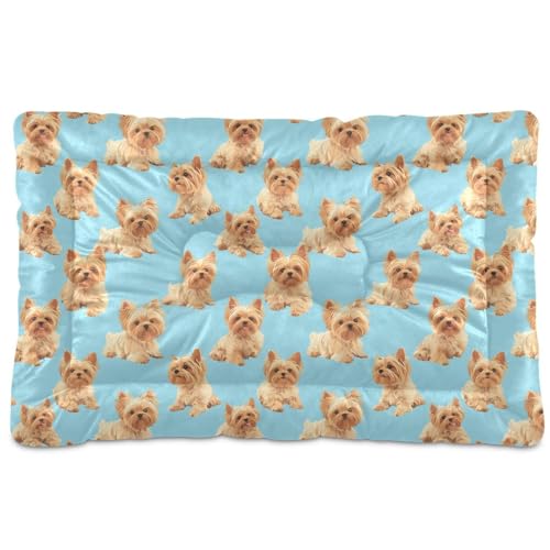 Yorkshire Terrier Hundebett, waschbar, weich, bequem, rutschfeste Unterseite, für große, mittelgroße und kleine Hunde, 91,4 x 61 cm, Blau von Yoogain