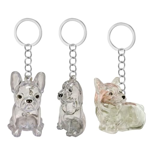Yooghuge Clear Pet Memorial Keychain Box Miniatur Haarspeicher Für Hundebesitzer Wasserdichtes Design Sentimental Travel Geschenk Pet Memorial Miniaturmodell Yooghuge Clear Pet Memorial Keychain Box Miniatur Haarspeicher Für Hundebesitzer Wasserdichtes Design Sentimental Travel Geschenk Pet Memorial Miniaturmodell von Yooghuge