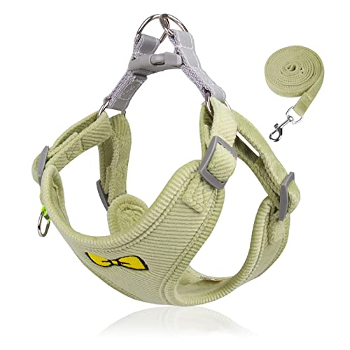 Yooghuge Katzenhalsband, atmungsaktives Netzgewebe, weicher Brustgurt für kleine, mittelgroße und große Haustiere, weiches Seil mit Traktionshaken für Katzen, Welpen, kleine, mittelgroße Hunde Yooghuge Katzenhalsband, atmungsaktives Netzgewebe, weicher Brustgurt für kleine, mittelgroße und große Haustiere, weiches Seil mit Traktionshaken für Katzen, Welpen, kleine, mittelgroße Hunde von Yooghuge