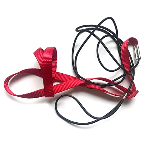 Yooghuge Outdoor Aktivitäten Fliegender Traktionsstraps Band Fliegerseil Für Kleine Sittiche Cockatiels Vogel Papageigurt Leine Pet Supplies Welpen Strohseil Handgewebte Nest Grus von Yooghuge