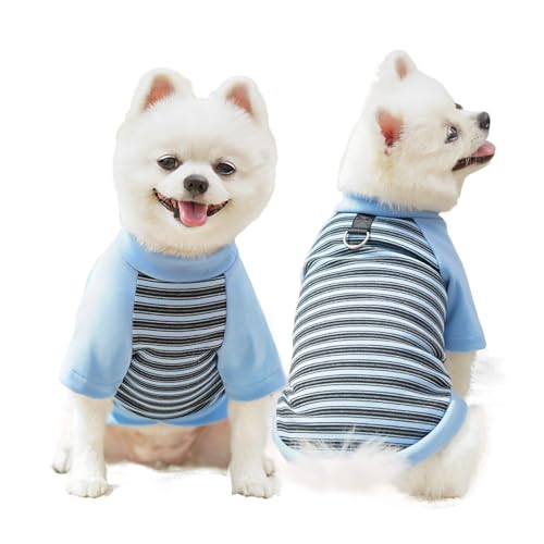 Yoolhamy Hundekleidung für kleine Hunde, Winter, warm, gestreift, Outfits mit Leinenring, weiche Sweatshirts für Chihuahua, Schnauzer, Shih Tzu, Yorkie, Französische Bulldogge (Blau, S) von Yoolhamy