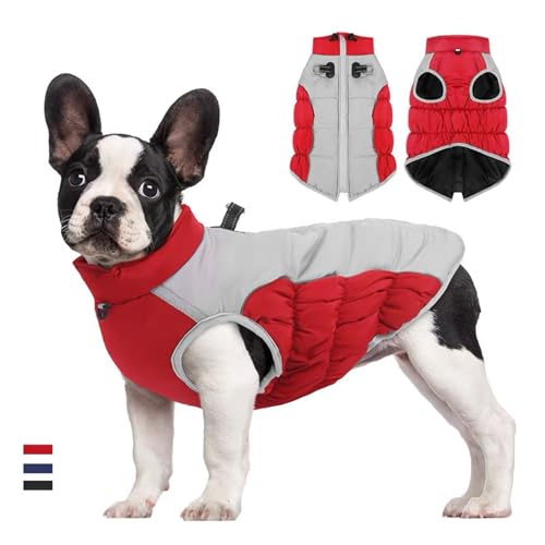 Yoolhamy Hundewintermantel wasserdichte warme Hundejacken mit Geschirr Loch und reflektierende Haustier Mäntel Outdoor-Sport-Kleidung gemütliche Fleece gefüttert mittlere große Hunde (Rot, 2XL) von Yoolhamy