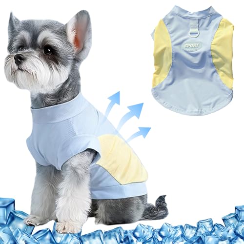 Yoolhamy Kühlweste für Hunde, Sommer-T-Shirt, atmungsaktiv, Kühlmantel mit D-Ring, Welpen-T-Shirt, schnell trocknend, leicht, kühles Shirt für kleine Haustiere, Chihuahua, Yorkshire-Kleidung (Blau, XL Yoolhamy Kühlweste für Hunde, Sommer-T-Shirt, atmungsaktiv, Kühlmantel mit D-Ring, Welpen-T-Shirt, schnell trocknend, leicht, kühles Shirt für kleine Haustiere, Chihuahua, Yorkshire-Kleidung (Blau, XL von Yoolhamy