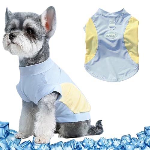 Yoolhamy Kühlweste für Hunde, Sommer-T-Shirt, atmungsaktiv, kühlender Mantel mit D-Ring, Welpen-T-Shirt, schnell trocknend, leicht, kühlende Hemden für kleine Haustiere, Chihuahua, Yorkshire-Kleidung Yoolhamy Kühlweste für Hunde, Sommer-T-Shirt, atmungsaktiv, kühlender Mantel mit D-Ring, Welpen-T-Shirt, schnell trocknend, leicht, kühlende Hemden für kleine Haustiere, Chihuahua, Yorkshire-Kleidung von Yoolhamy
