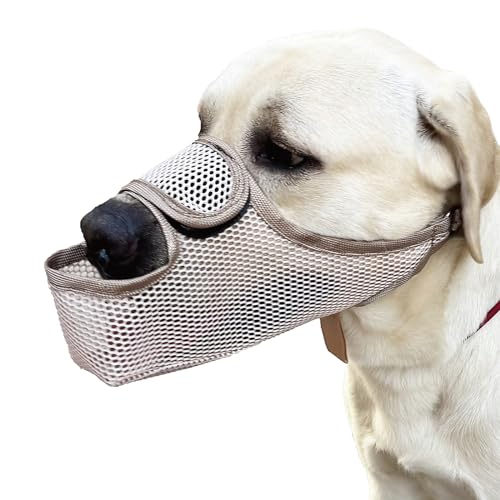Yoolhamy Maulkorb Mittlere Hunde Maske für Große Hunde Weicher Mittelgroße Hundemaulkorb Netzmaulkorb mit Frontöffnung, atmungsaktiv, um Beißen, Lecken, Kauen, Schnitzen zu verhindern Yoolhamy Maulkorb Mittlere Hunde Maske für Große Hunde Weicher Mittelgroße Hundemaulkorb Netzmaulkorb mit Frontöffnung, atmungsaktiv, um Beißen, Lecken, Kauen, Schnitzen zu verhindern von Yoolhamy