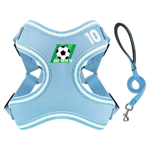 Yoolhamy Hundegeschirr No Pull und Verstellbares Welpengeschirr für Kleine Hunde Ultra Atmungsaktives Weich Mesh Haustiersportweste Sport Dog Harness Mittelgroße Hundegeschirre (Blau, M) von Yoolhamy