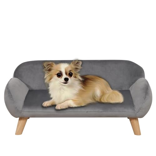 Haustier-Sofa/Luxus-Samtstoff-Hundebett/modisches Design, Hundesofas und Stühle/Holzrahmen, Katzensofa/Hundesofa mit soliden Füßen/Sofa für kleine Hunde (grau) von Yoonnie room