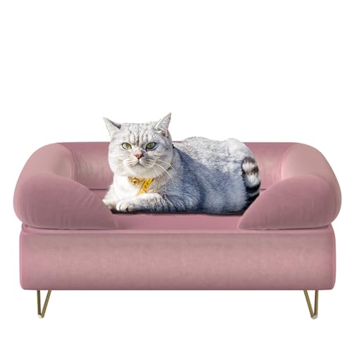 Yoonnie room Hundesofa, Katzensofa, Welpenbett, Hundesessel für kleine Haustiere, Haustiersofa, Holzrahmen und Samtstoff, Katzen-Couch für kleine Katzen und Hunde und Welpenruhe, Rosa Yoonnie room Hundesofa, Katzensofa, Welpenbett, Hundesessel für kleine Haustiere, Haustiersofa, Holzrahmen und Samtstoff, Katzen-Couch für kleine Katzen und Hunde und Welpenruhe, Rosa von Yoonnie room